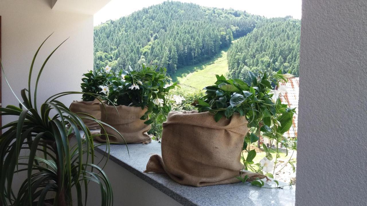 Willa Kania Szczawnica Exterior foto